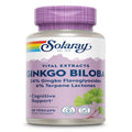 Solaray Ginkgo Biloba
