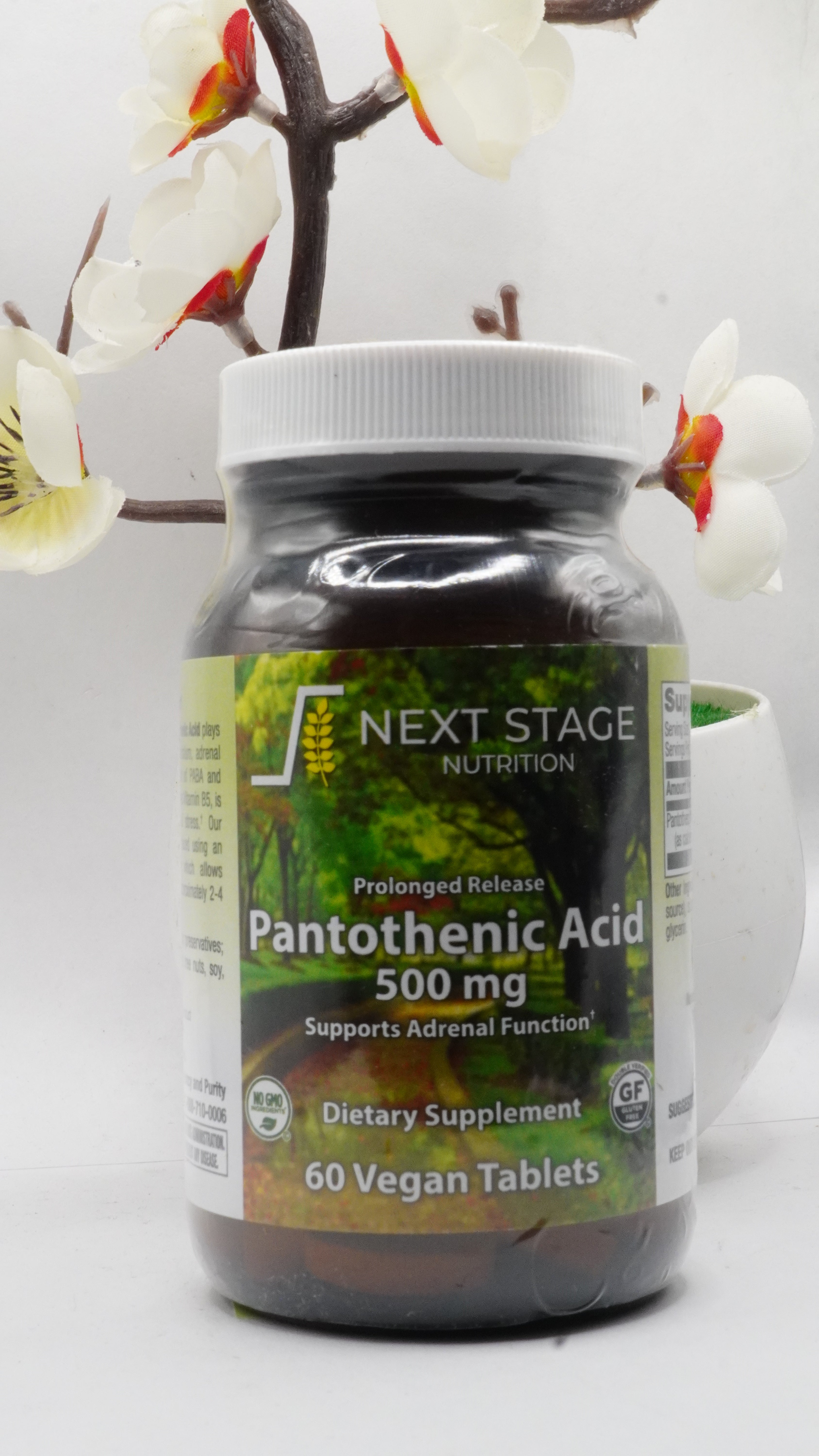 Acide Pantothénique Next Stage 500 mg