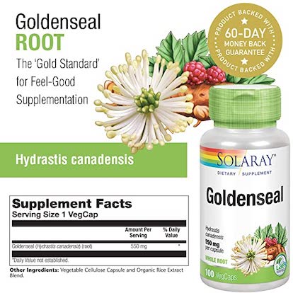 Hydraste du Canada Solaray