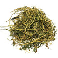 Jamaican Ceresse